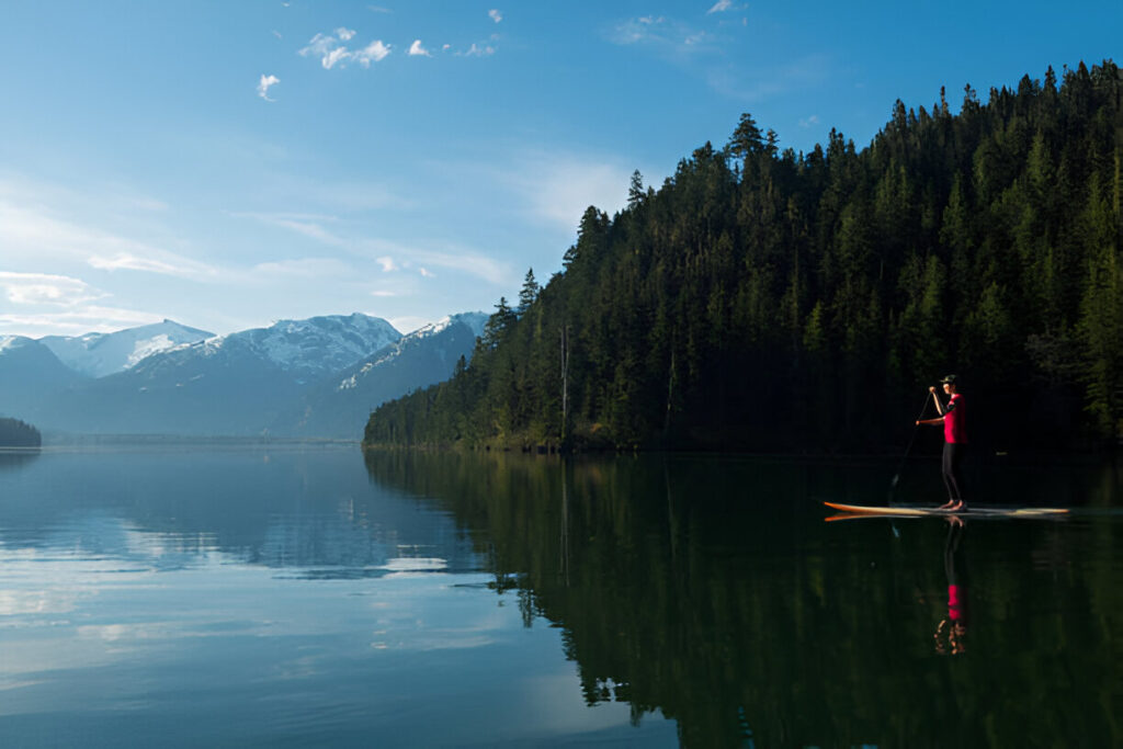 steptodown.com422311