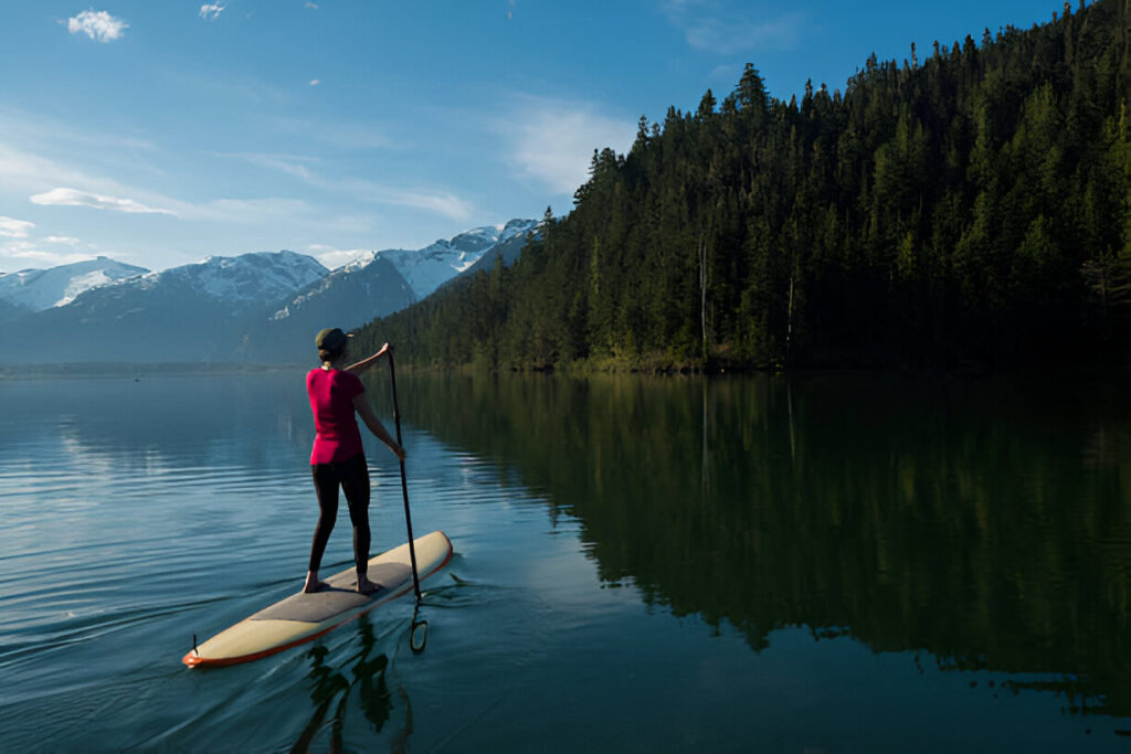 steptodown.com602540